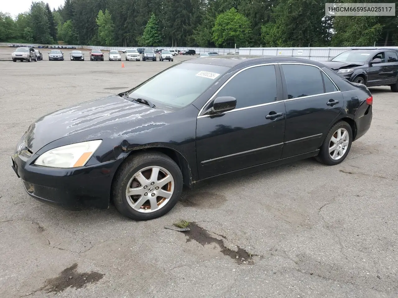 2006 Honda Accord Ex VIN: 1HGCM66595A025117 Lot: 55900255