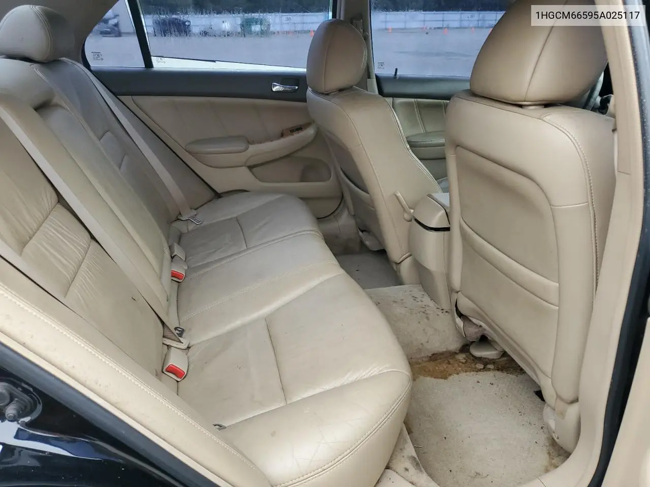 2006 Honda Accord Ex VIN: 1HGCM66595A025117 Lot: 55900255