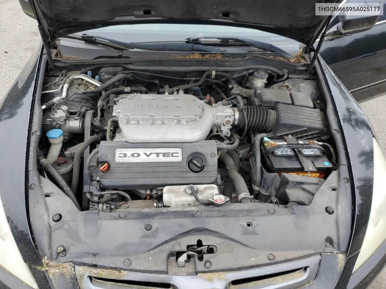 2006 Honda Accord Ex VIN: 1HGCM66595A025117 Lot: 55900255