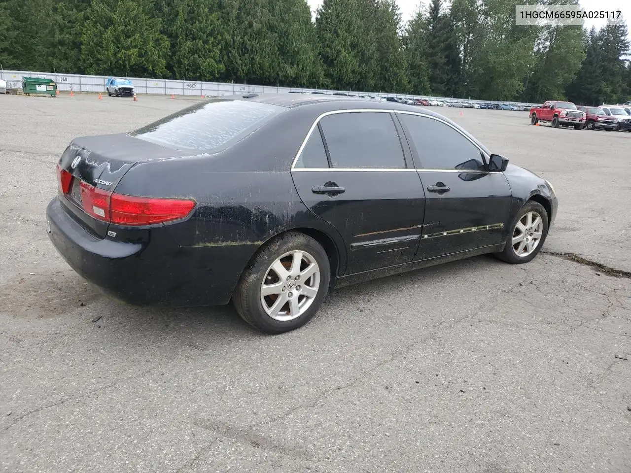 2006 Honda Accord Ex VIN: 1HGCM66595A025117 Lot: 55900255