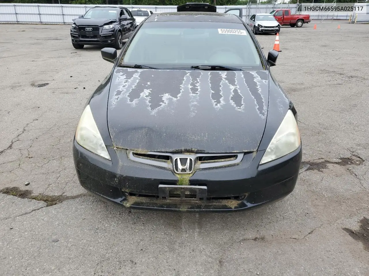 2006 Honda Accord Ex VIN: 1HGCM66595A025117 Lot: 55900255