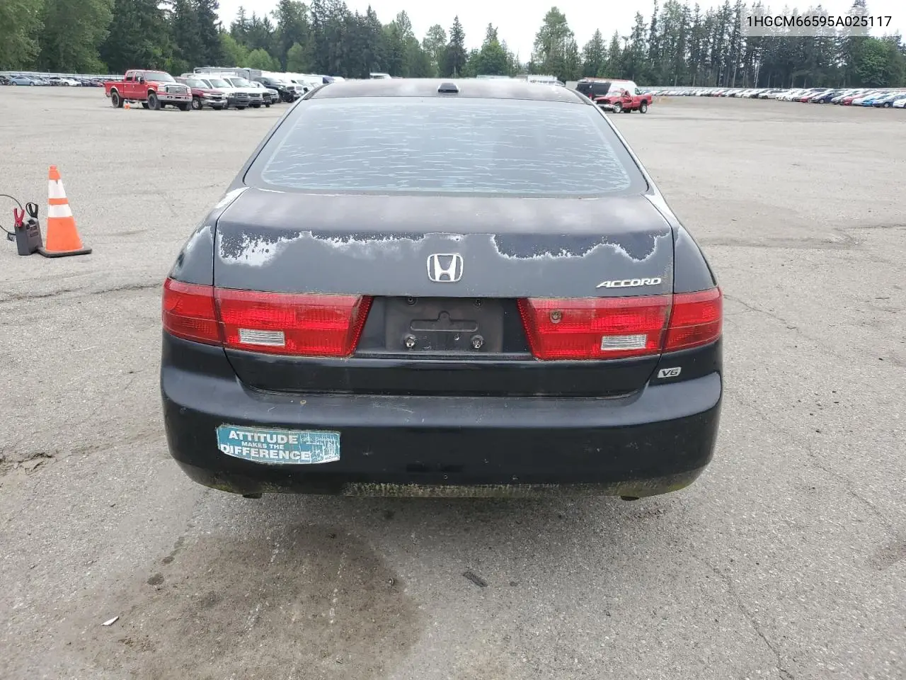 2006 Honda Accord Ex VIN: 1HGCM66595A025117 Lot: 55900255
