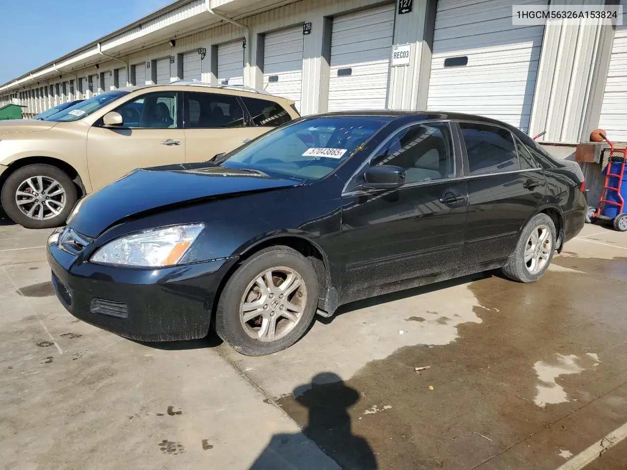 2006 Honda Accord Se VIN: 1HGCM56326A153824 Lot: 57043865