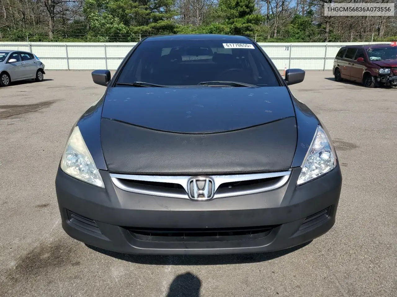 2006 Honda Accord Ex VIN: 1HGCM56836A073556 Lot: 61770655