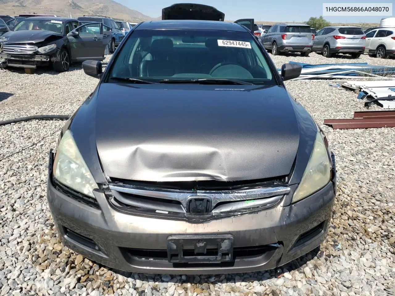 2006 Honda Accord Ex VIN: 1HGCM56866A048070 Lot: 62947445