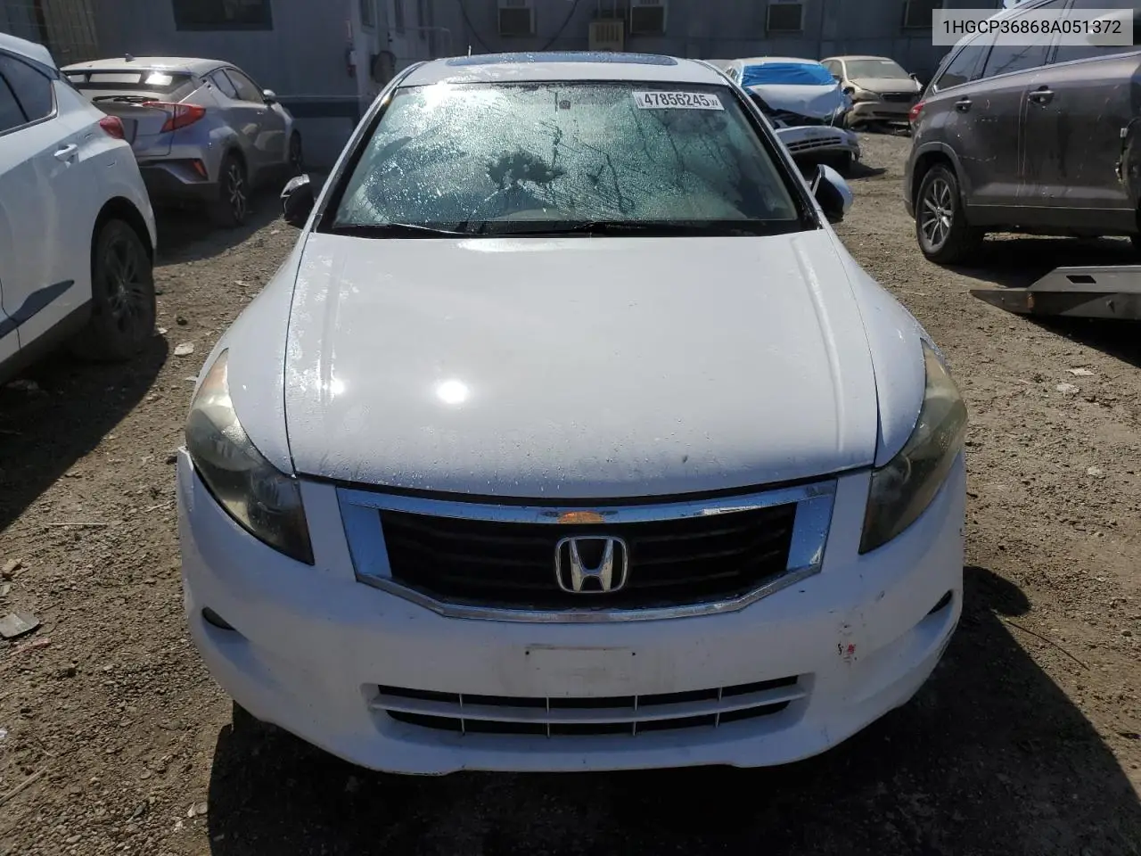 2008 Honda Accord Exl VIN: 1HGCP36868A051372 Lot: 47856245