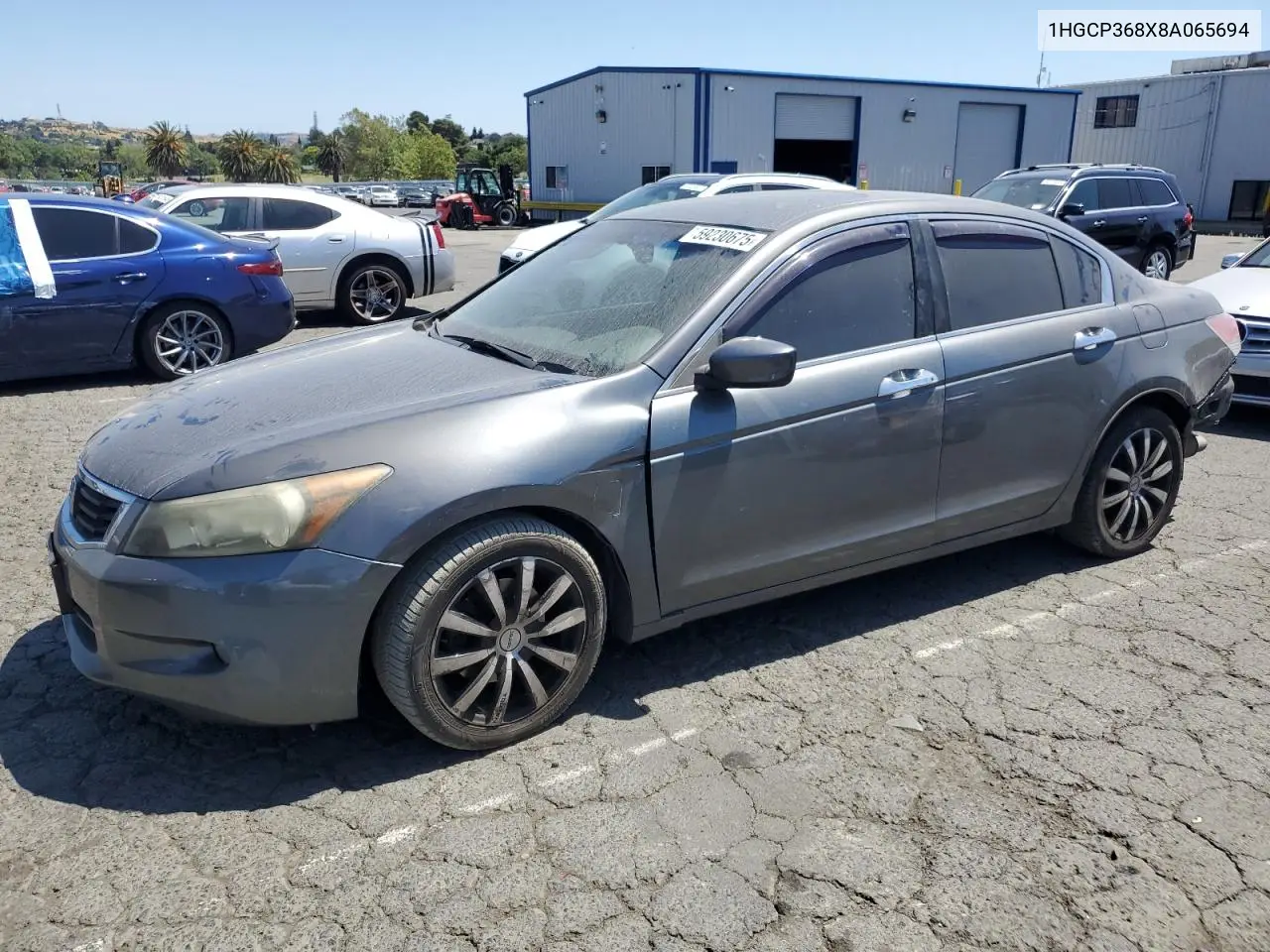 2008 Honda Accord Exl VIN: 1HGCP368X8A065694 Lot: 59230675
