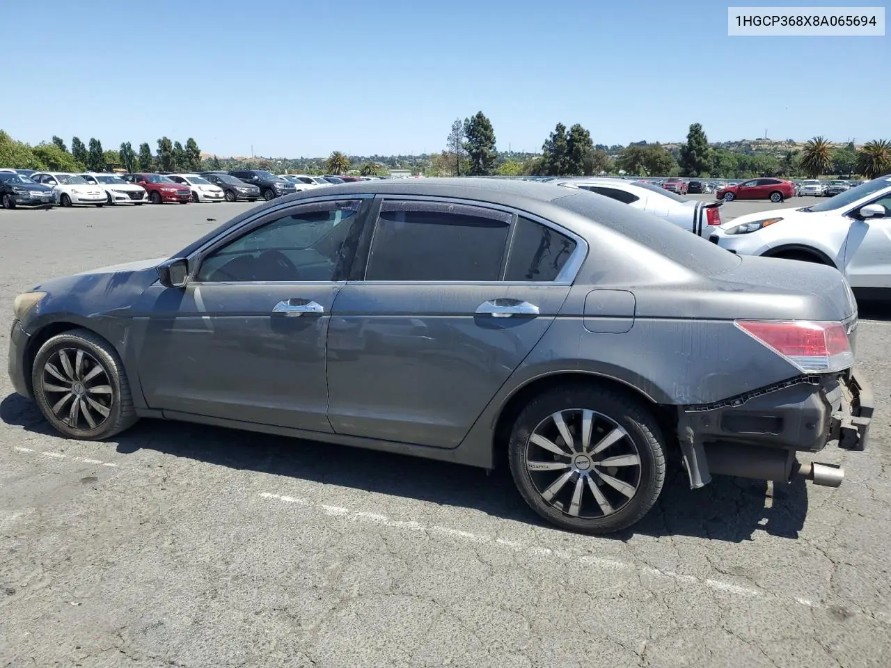 2008 Honda Accord Exl VIN: 1HGCP368X8A065694 Lot: 59230675