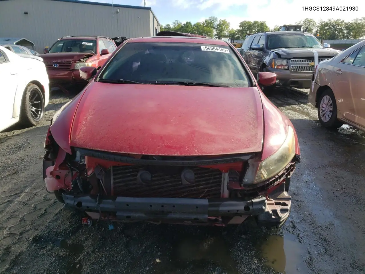 2009 Honda Accord Exl VIN: 1HGCS12849A021930 Lot: 56564445