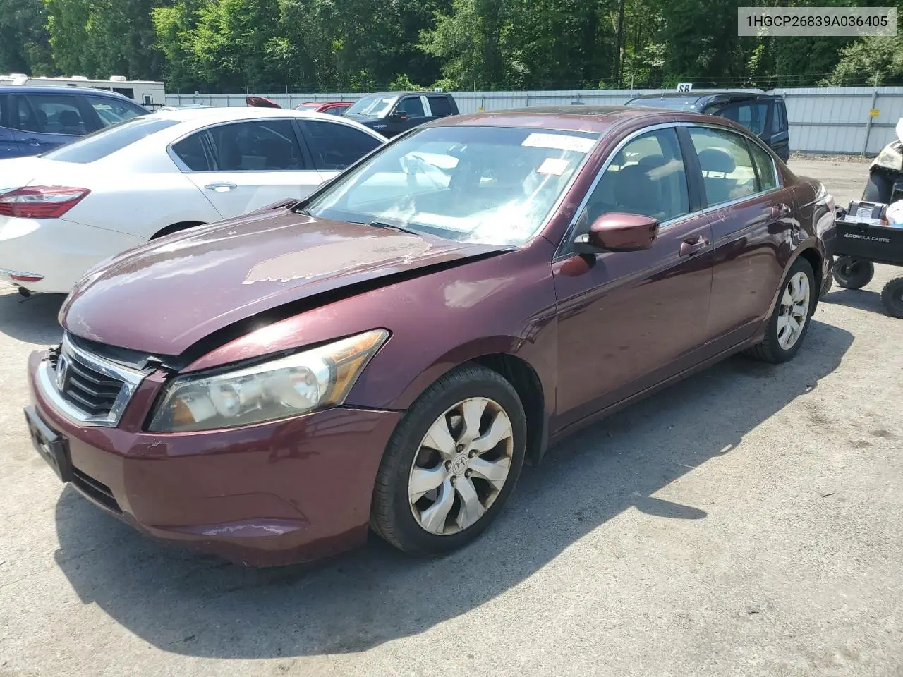 2009 Honda Accord Exl VIN: 1HGCP26839A036405 Lot: 62293355