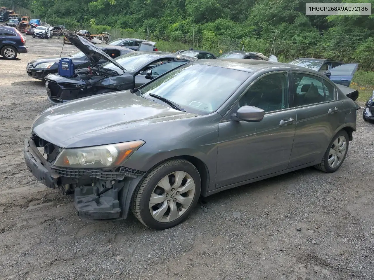 2009 Honda Accord Exl VIN: 1HGCP268X9A072186 Lot: 62534395