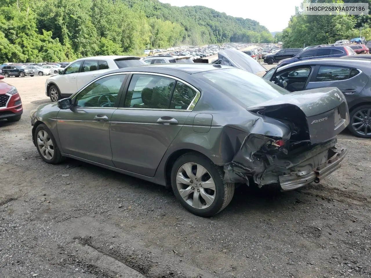 2009 Honda Accord Exl VIN: 1HGCP268X9A072186 Lot: 62534395