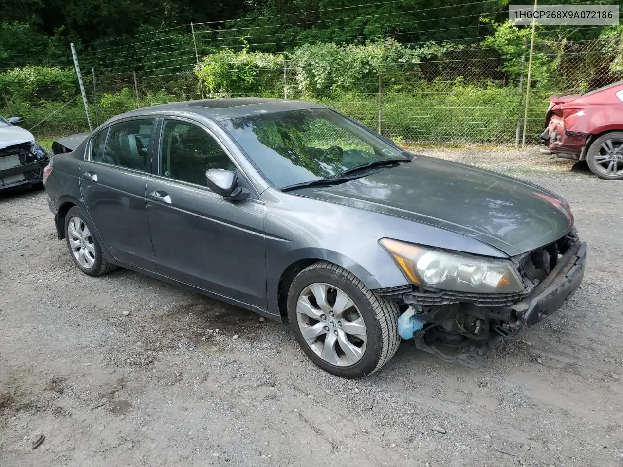 2009 Honda Accord Exl VIN: 1HGCP268X9A072186 Lot: 62534395
