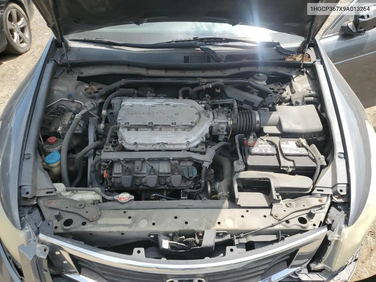 2009 Honda Accord Ex VIN: 1HGCP367X9A013264 Lot: 62683305