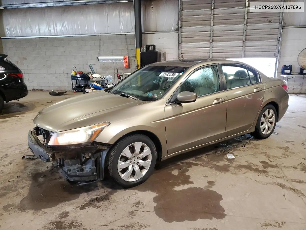 2009 Honda Accord Exl VIN: 1HGCP268X9A107096 Lot: 62743635