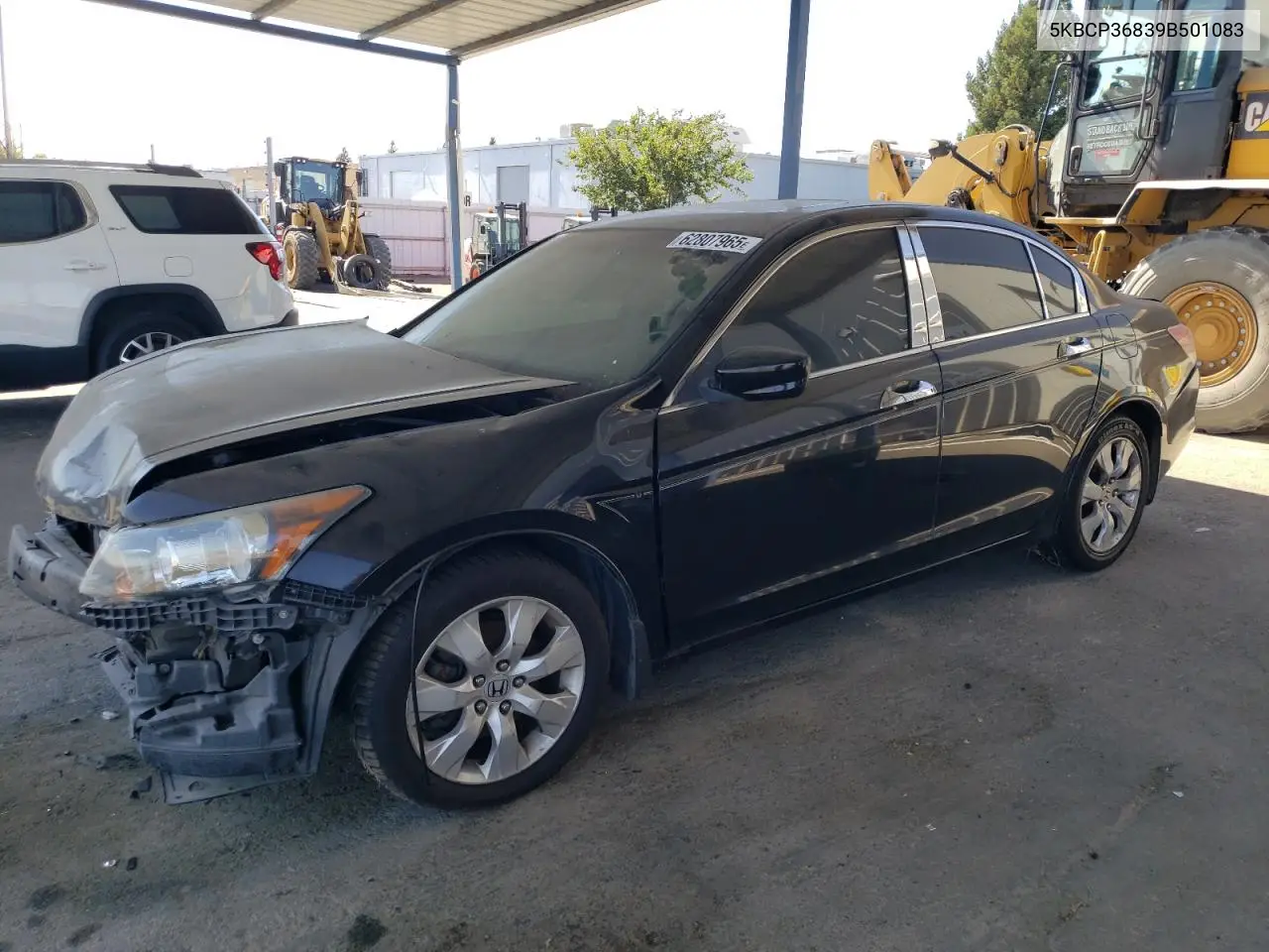 2009 Honda Accord Exl VIN: 5KBCP36839B501083 Lot: 62807965