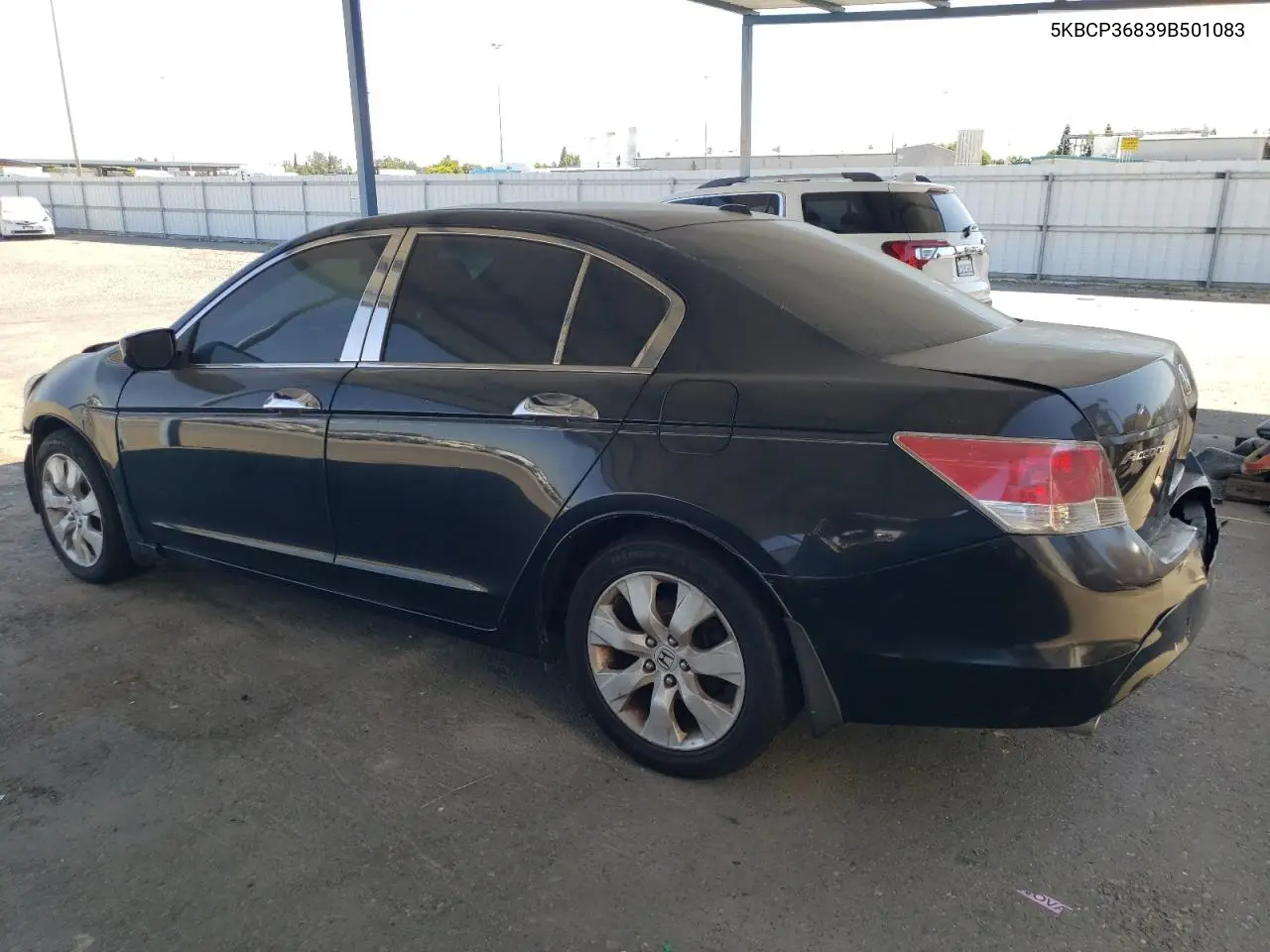 2009 Honda Accord Exl VIN: 5KBCP36839B501083 Lot: 62807965