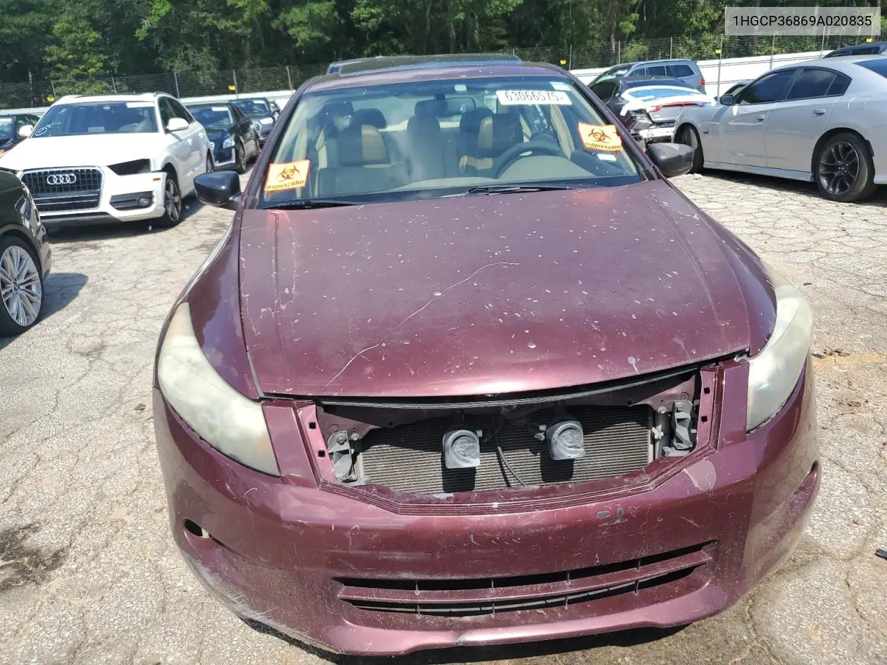 2009 Honda Accord Exl VIN: 1HGCP36869A020835 Lot: 63066575