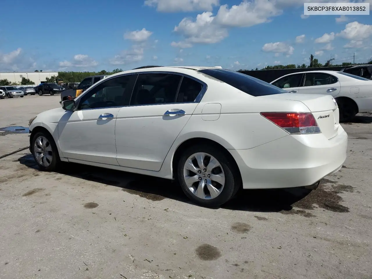 2010 Honda Accord Exl VIN: 5KBCP3F8XAB013852 Lot: 56702935