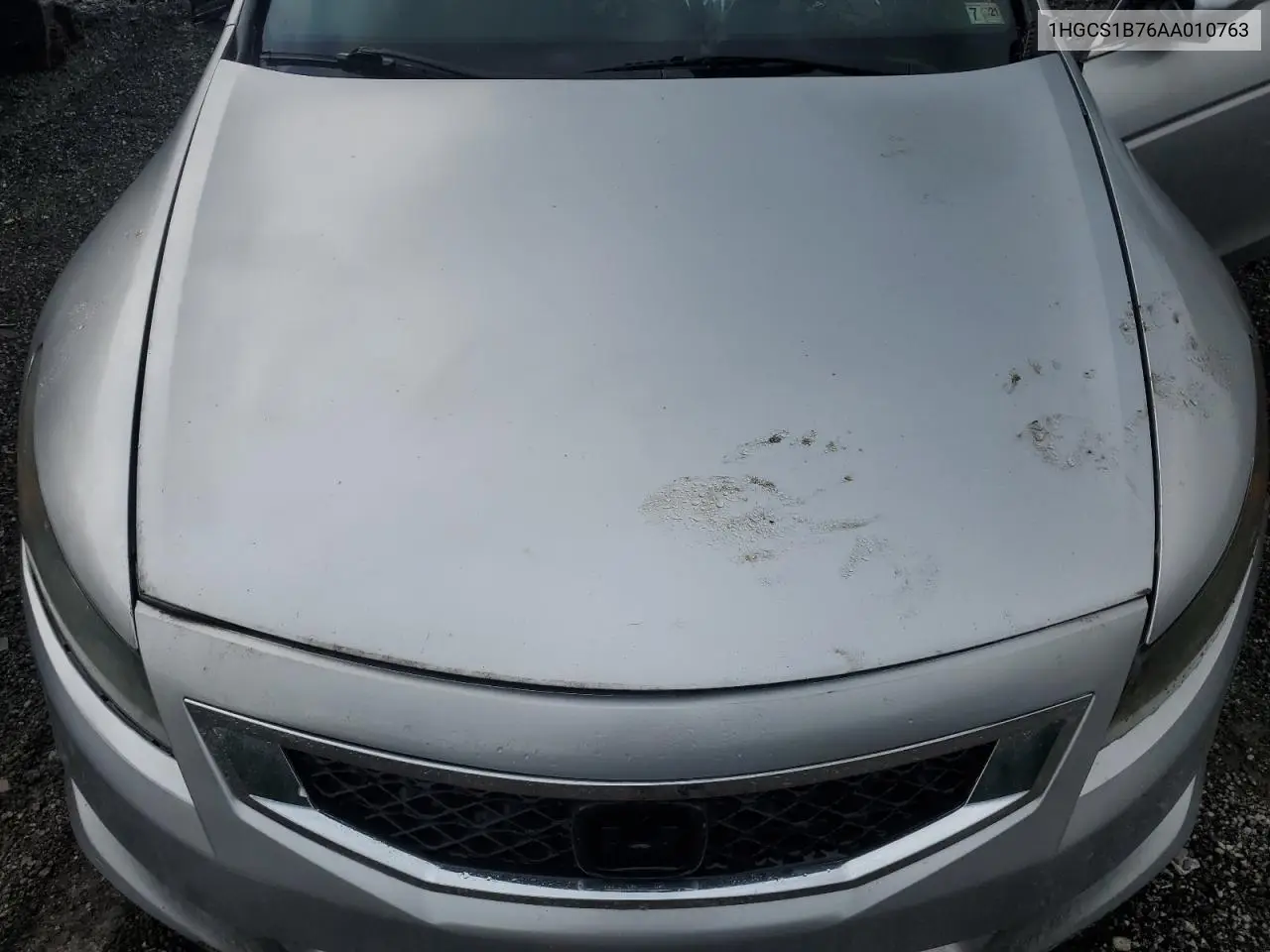 2010 Honda Accord Ex VIN: 1HGCS1B76AA010763 Lot: 62692885