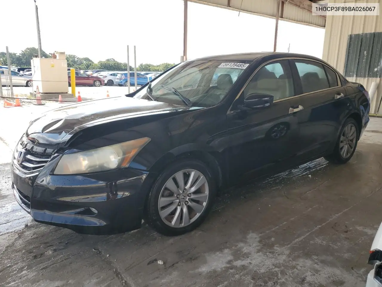 2011 Honda Accord Exl VIN: 1HGCP3F89BA026067 Lot: 56139485