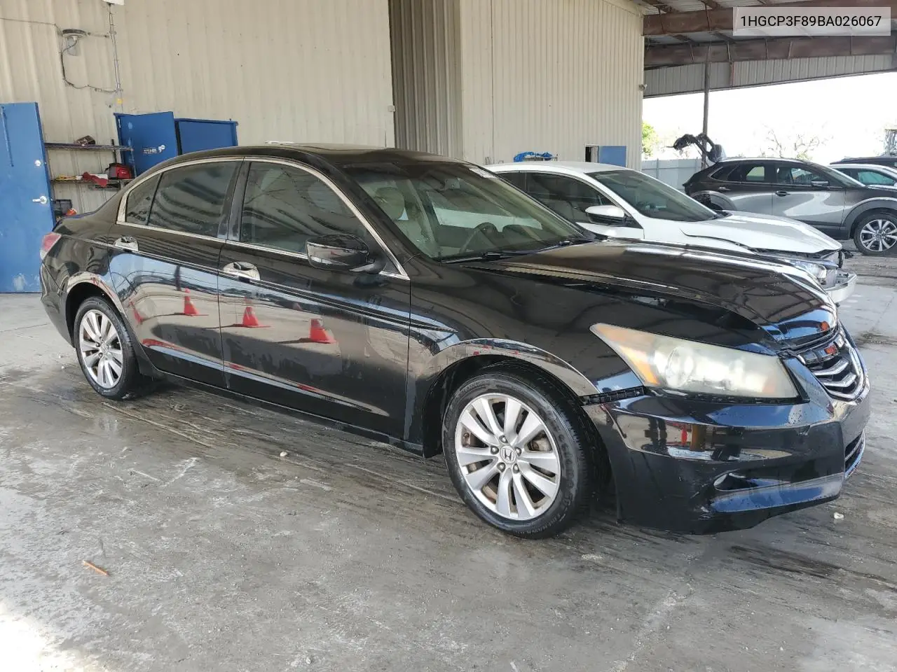 2011 Honda Accord Exl VIN: 1HGCP3F89BA026067 Lot: 56139485
