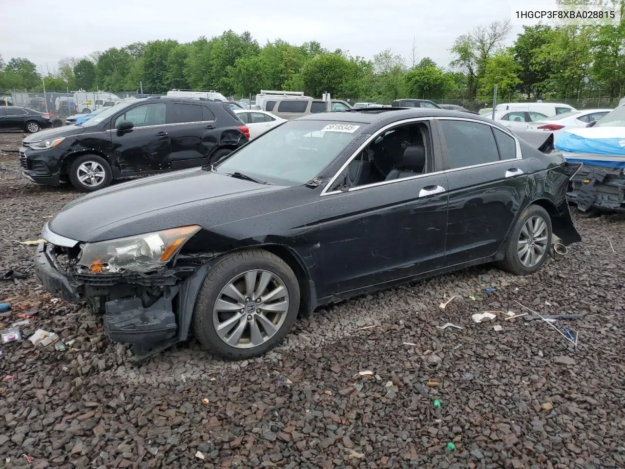 2011 Honda Accord Exl VIN: 1HGCP3F8XBA028815 Lot: 56185345