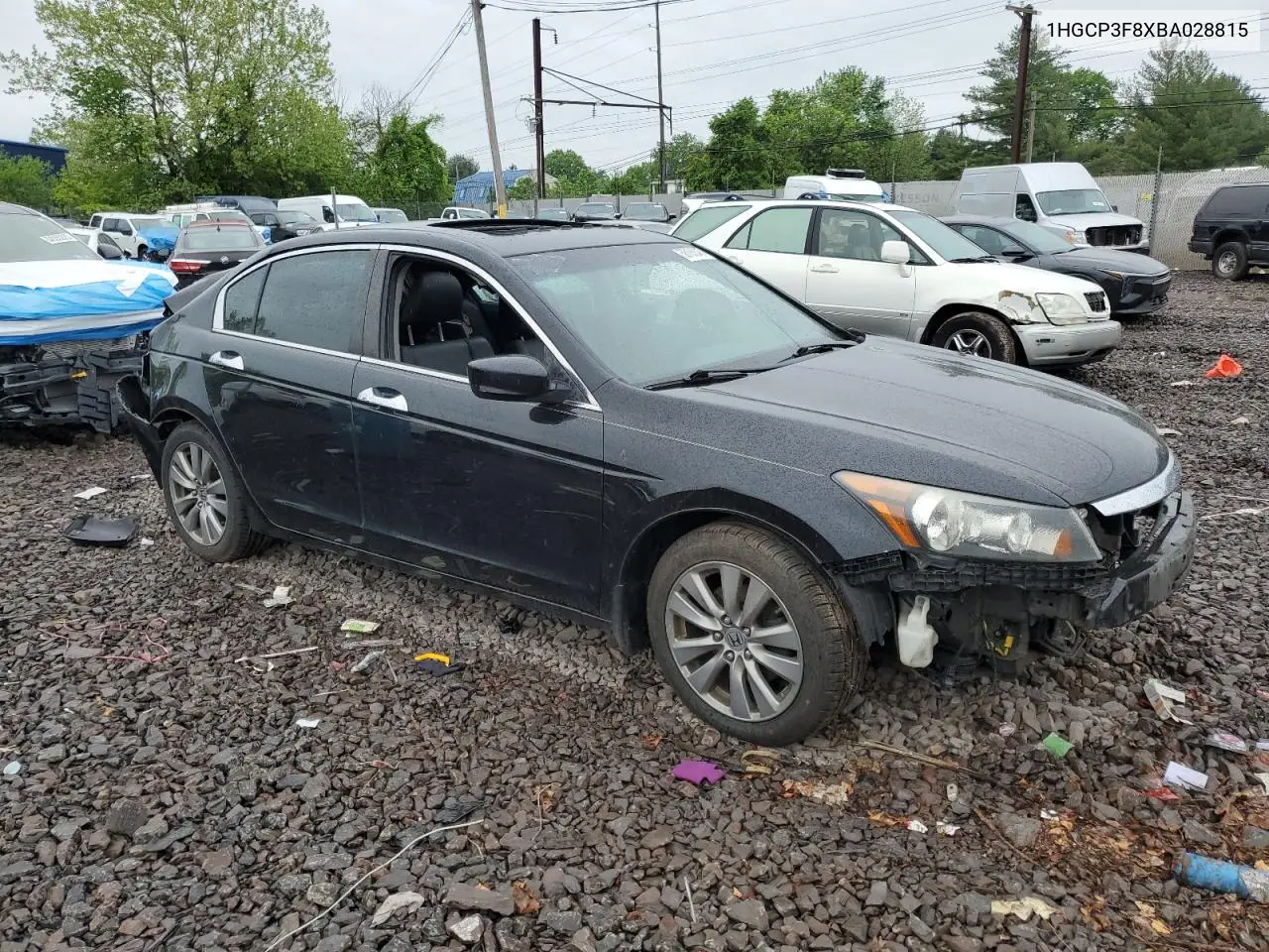 2011 Honda Accord Exl VIN: 1HGCP3F8XBA028815 Lot: 56185345
