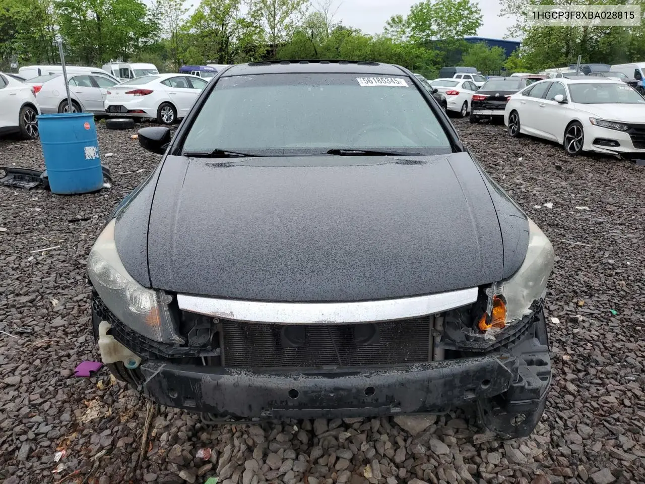 2011 Honda Accord Exl VIN: 1HGCP3F8XBA028815 Lot: 56185345