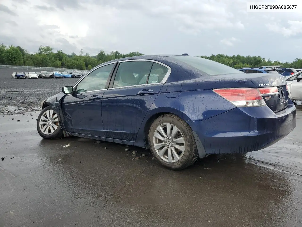 2011 Honda Accord Exl VIN: 1HGCP2F89BA085677 Lot: 62234405