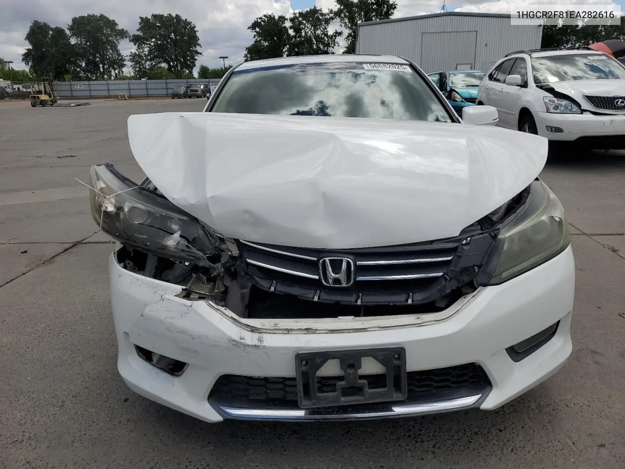 2014 Honda Accord Exl VIN: 1HGCR2F81EA282616 Lot: 56682025