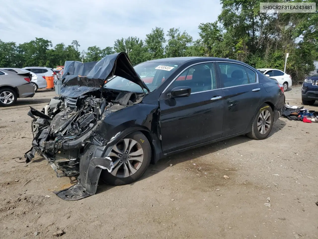 2014 Honda Accord Lx VIN: 1HGCR2F31EA243481 Lot: 62485455