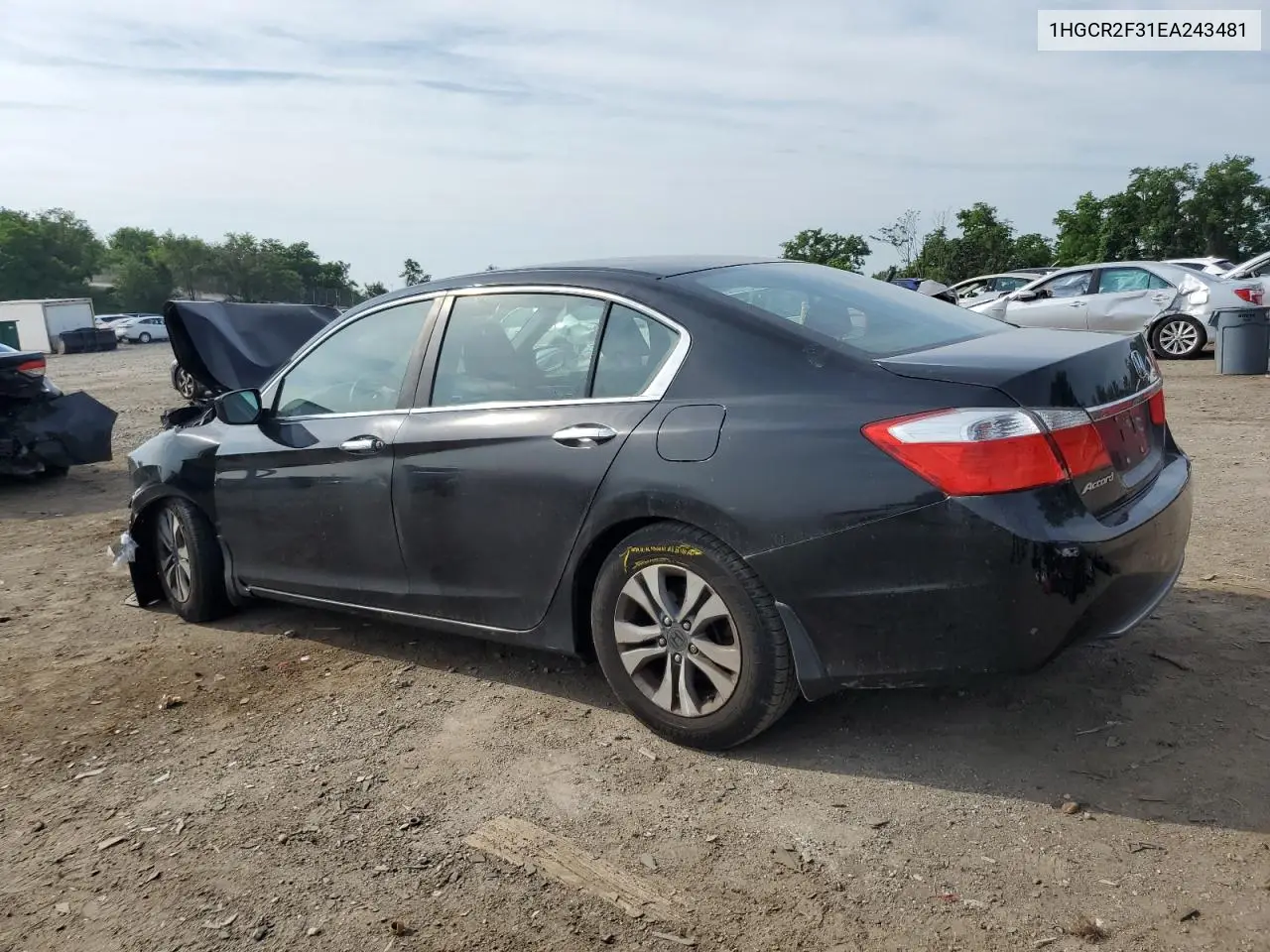 2014 Honda Accord Lx VIN: 1HGCR2F31EA243481 Lot: 62485455