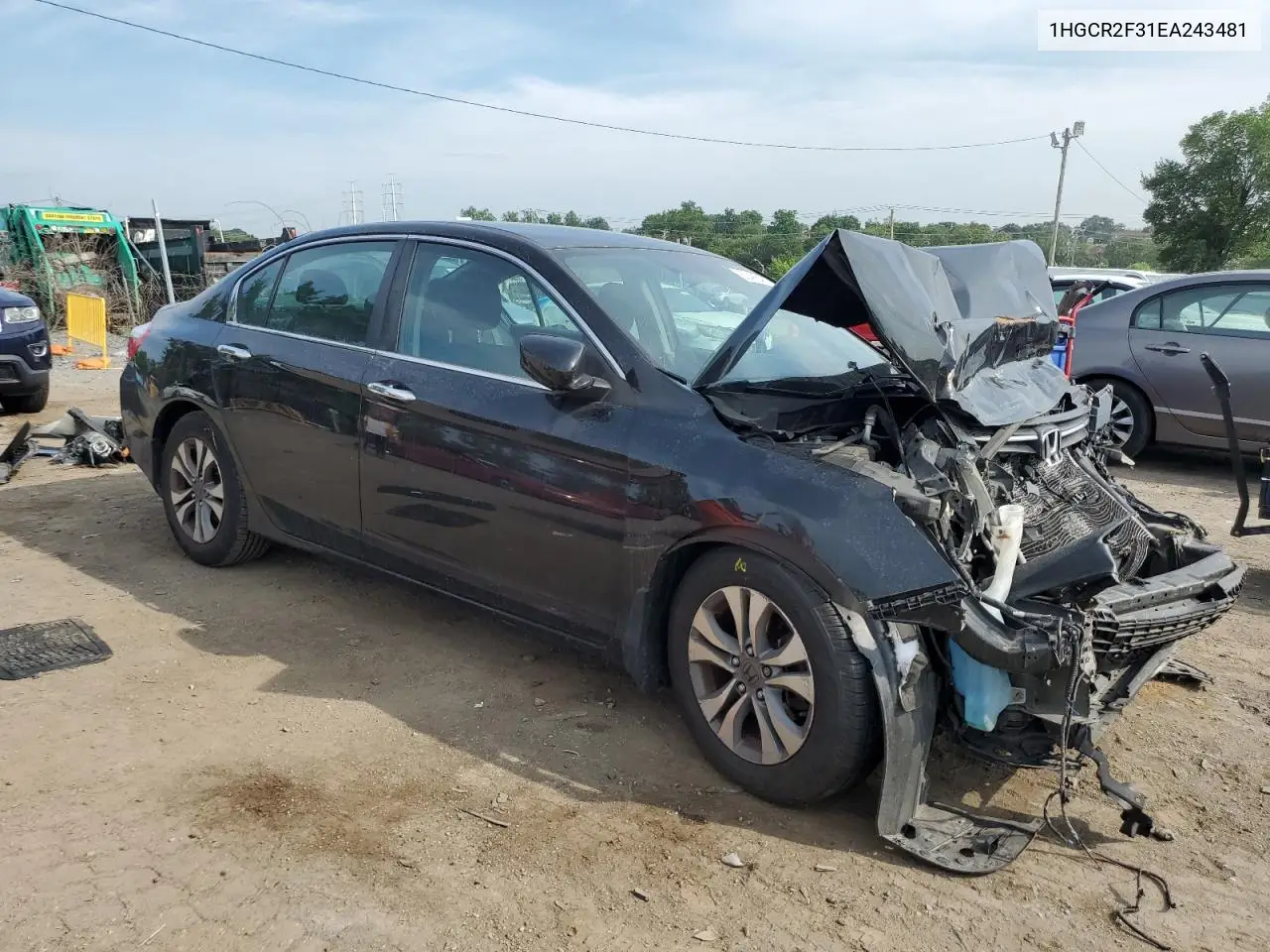 2014 Honda Accord Lx VIN: 1HGCR2F31EA243481 Lot: 62485455