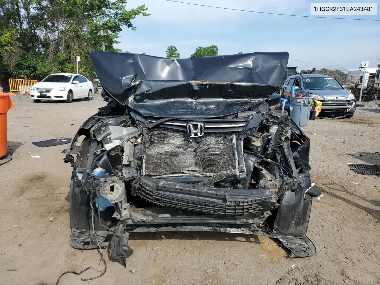 2014 Honda Accord Lx VIN: 1HGCR2F31EA243481 Lot: 62485455