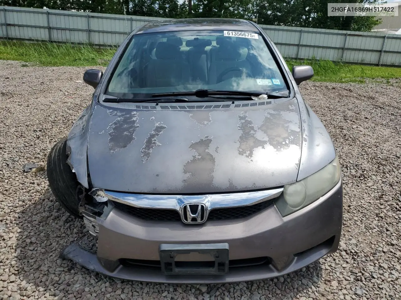 2009 Honda Civic Ex VIN: 2HGFA16869H517422 Lot: 61356675