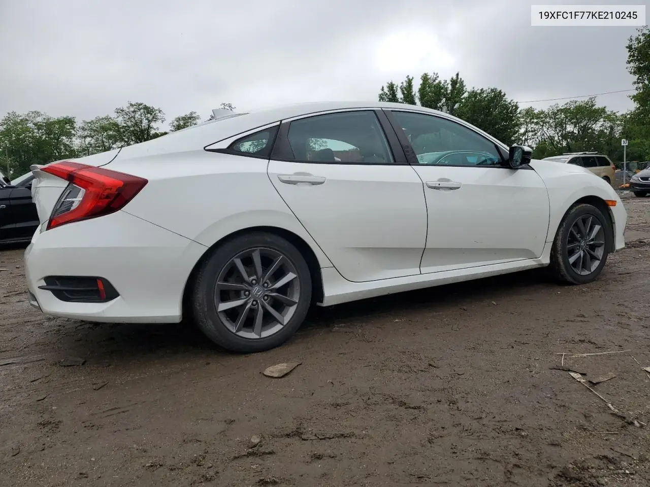 2019 Honda Civic Exl VIN: 19XFC1F77KE210245 Lot: 57097515