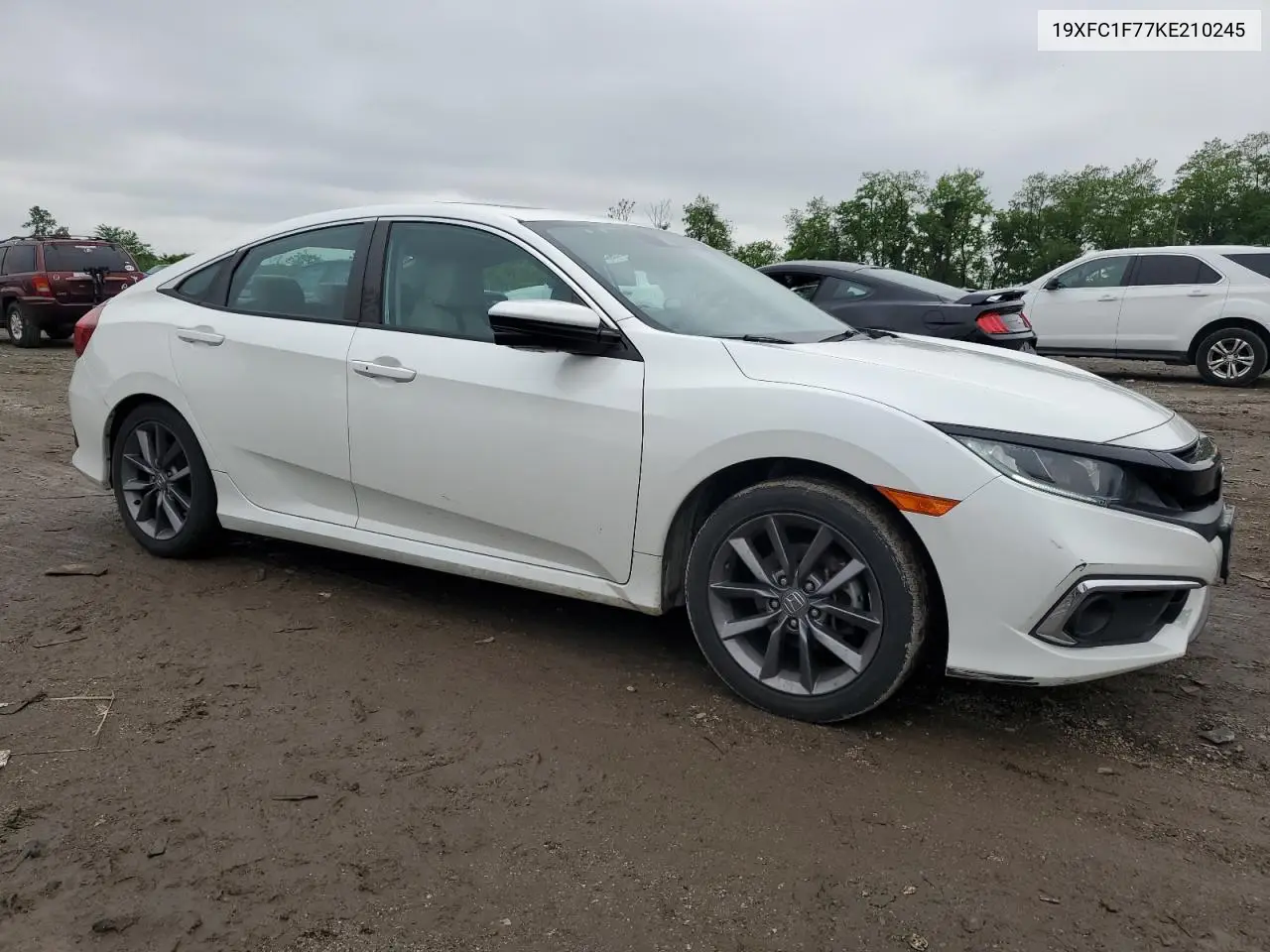 2019 Honda Civic Exl VIN: 19XFC1F77KE210245 Lot: 57097515