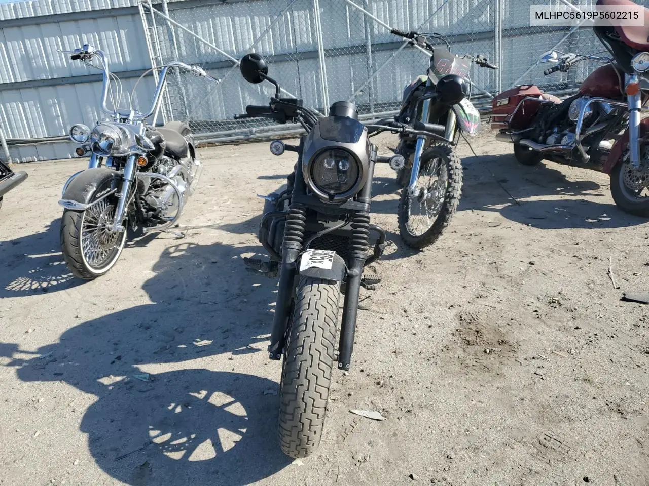 2023 Honda Cmx500 VIN: MLHPC5619P5602215 Lot: 51912305