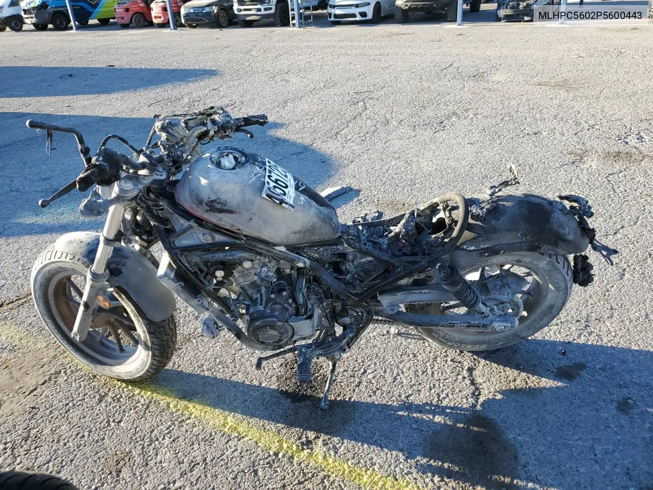 2023 Honda Cmx500 VIN: MLHPC5602P5600443 Lot: 54956725