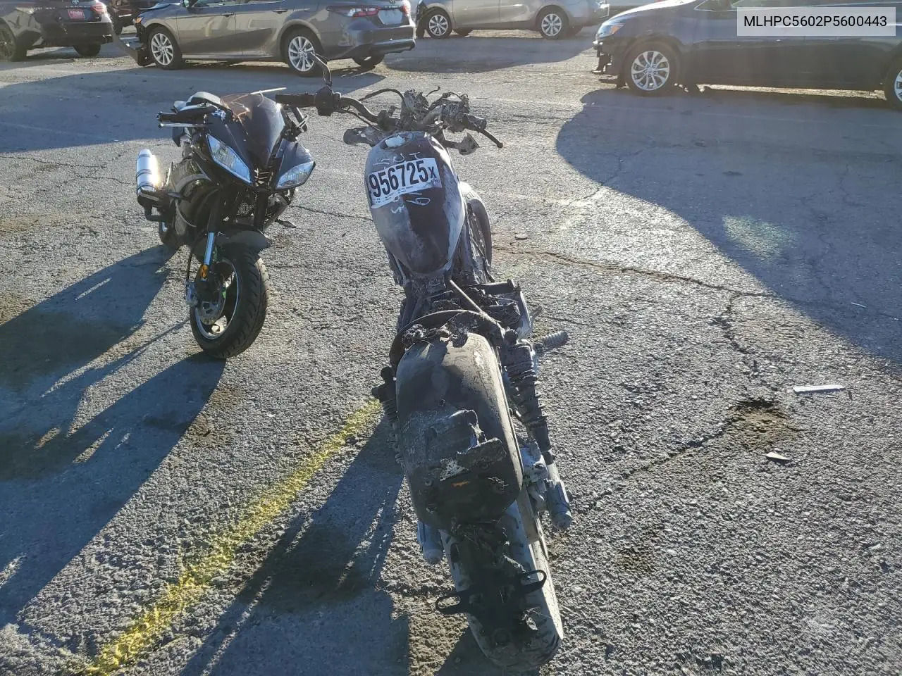 2023 Honda Cmx500 VIN: MLHPC5602P5600443 Lot: 54956725