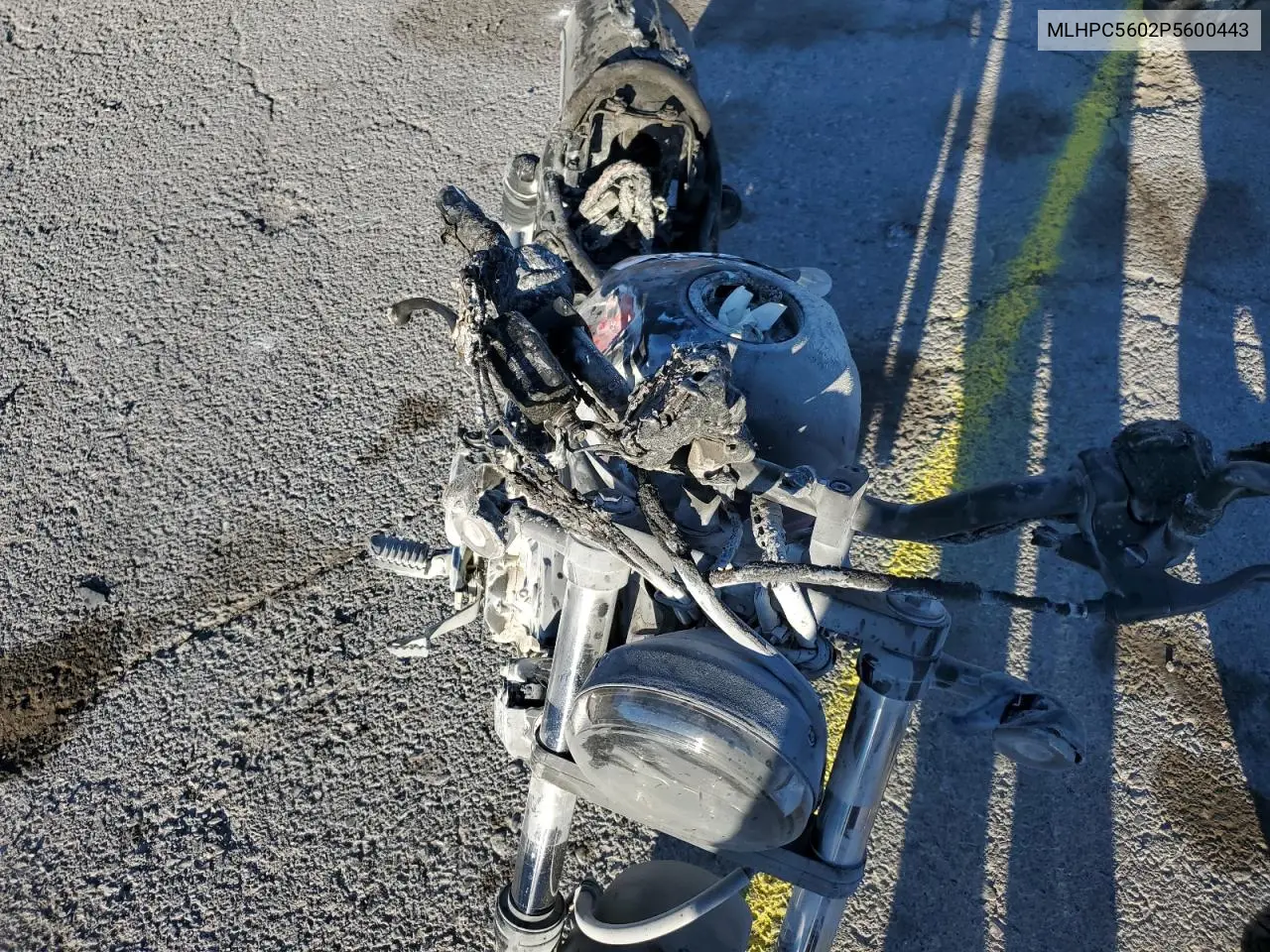 2023 Honda Cmx500 VIN: MLHPC5602P5600443 Lot: 54956725