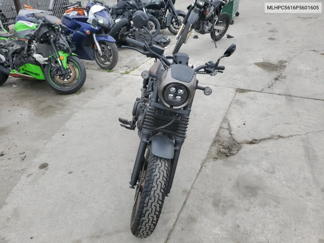2023 Honda Cmx500 VIN: MLHPC5616P5601605 Lot: 55593015