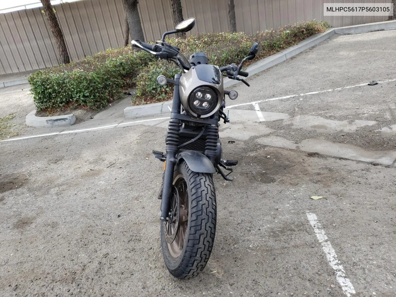 2023 Honda Cmx500 VIN: MLHPC5617P5603105 Lot: 84234634