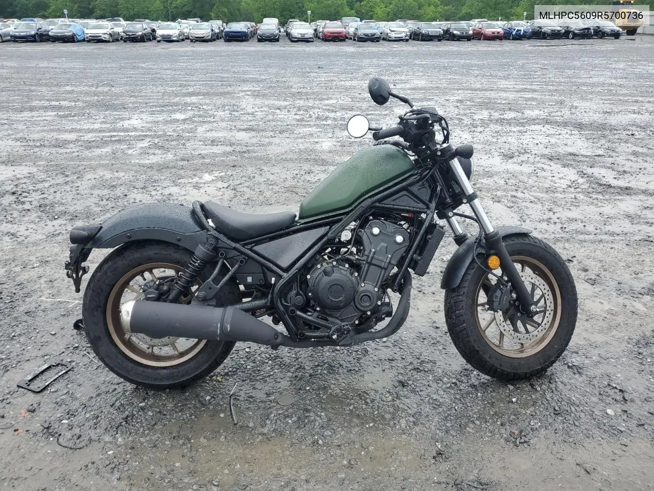 2024 Honda Cmx500 VIN: MLHPC5609R5700736 Lot: 54609585