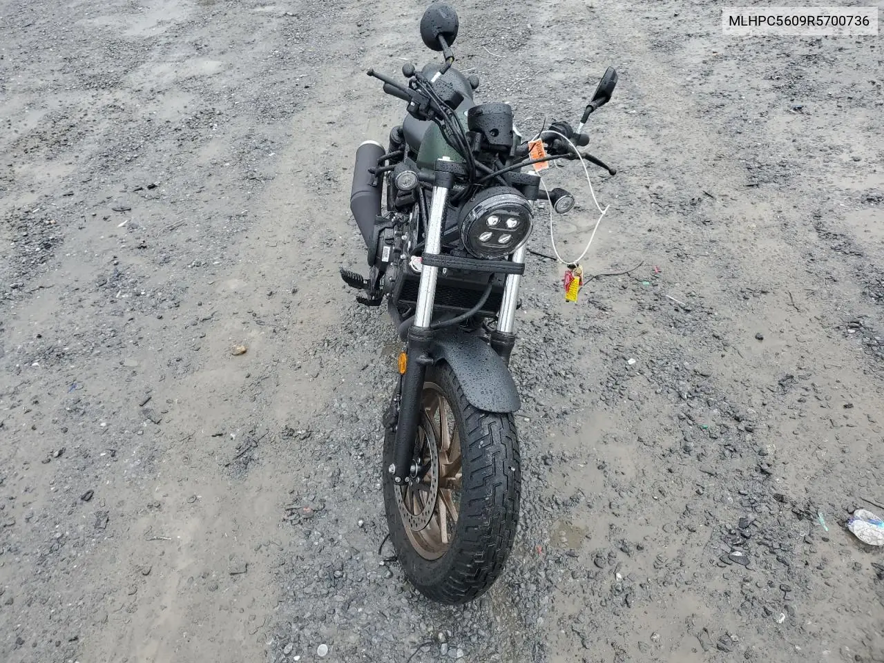 2024 Honda Cmx500 VIN: MLHPC5609R5700736 Lot: 54609585
