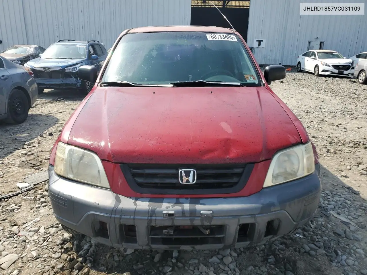 1997 Honda Cr-V Lx VIN: JHLRD1857VC031109 Lot: 60733405