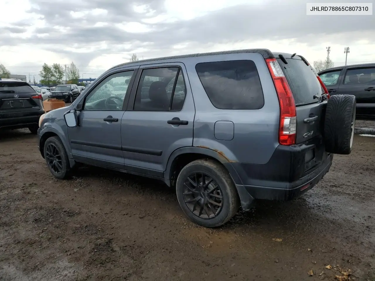 2005 Honda Cr-V Ex VIN: JHLRD78865C807310 Lot: 56714165