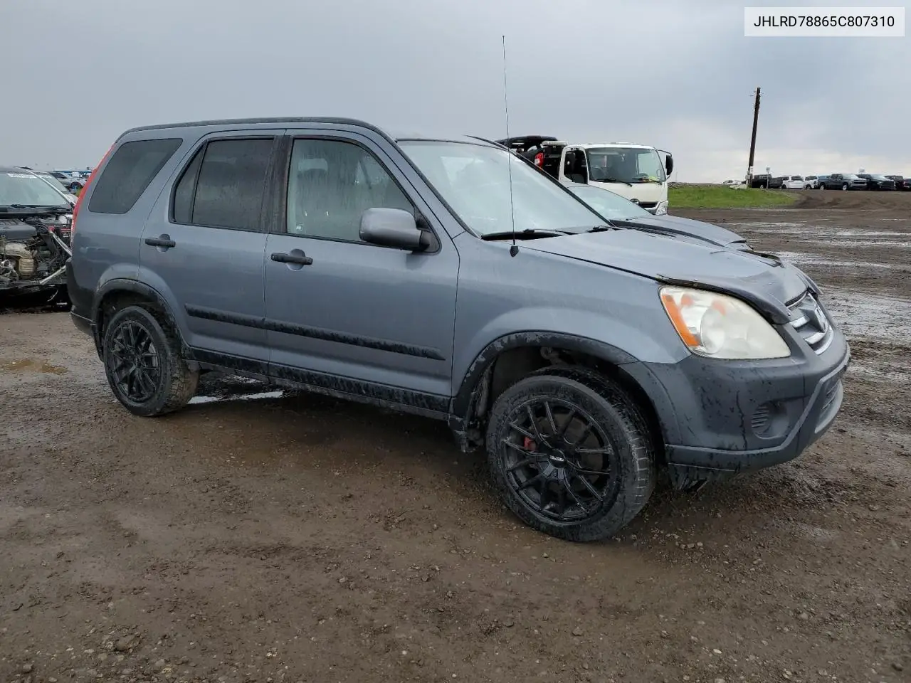 2005 Honda Cr-V Ex VIN: JHLRD78865C807310 Lot: 56714165