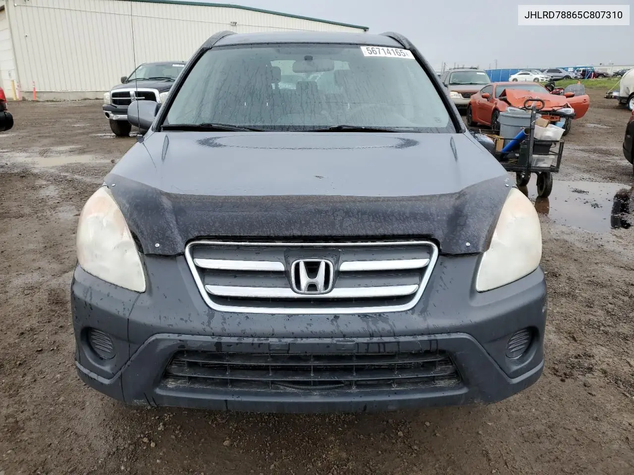 2005 Honda Cr-V Ex VIN: JHLRD78865C807310 Lot: 56714165